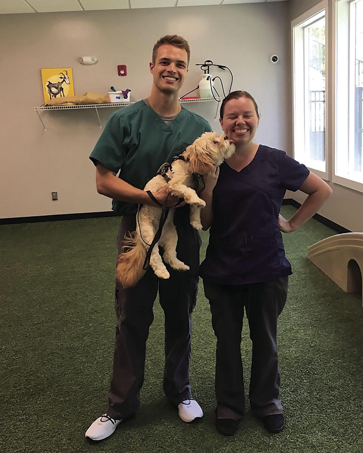 Good Dog Training Tips From The Pros On How To Develop A Well Behaved Dog Cobb Life Magazine Mdjonline Com