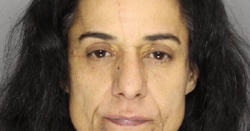 Kennesaw Woman Accused of Shooting out Car Tires | Police Fire ...