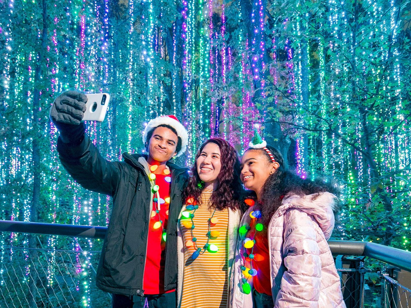 Atlanta Botanical Garden S Garden Lights Holiday Nights Is Incorporating Alice S Wonderland Northside Sandy Springs Neighbor Mdjonline Com