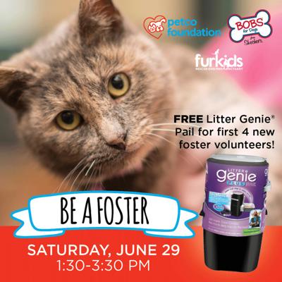 Petco Furkids To Host Roswell Foster Event Community Mdjonline Com