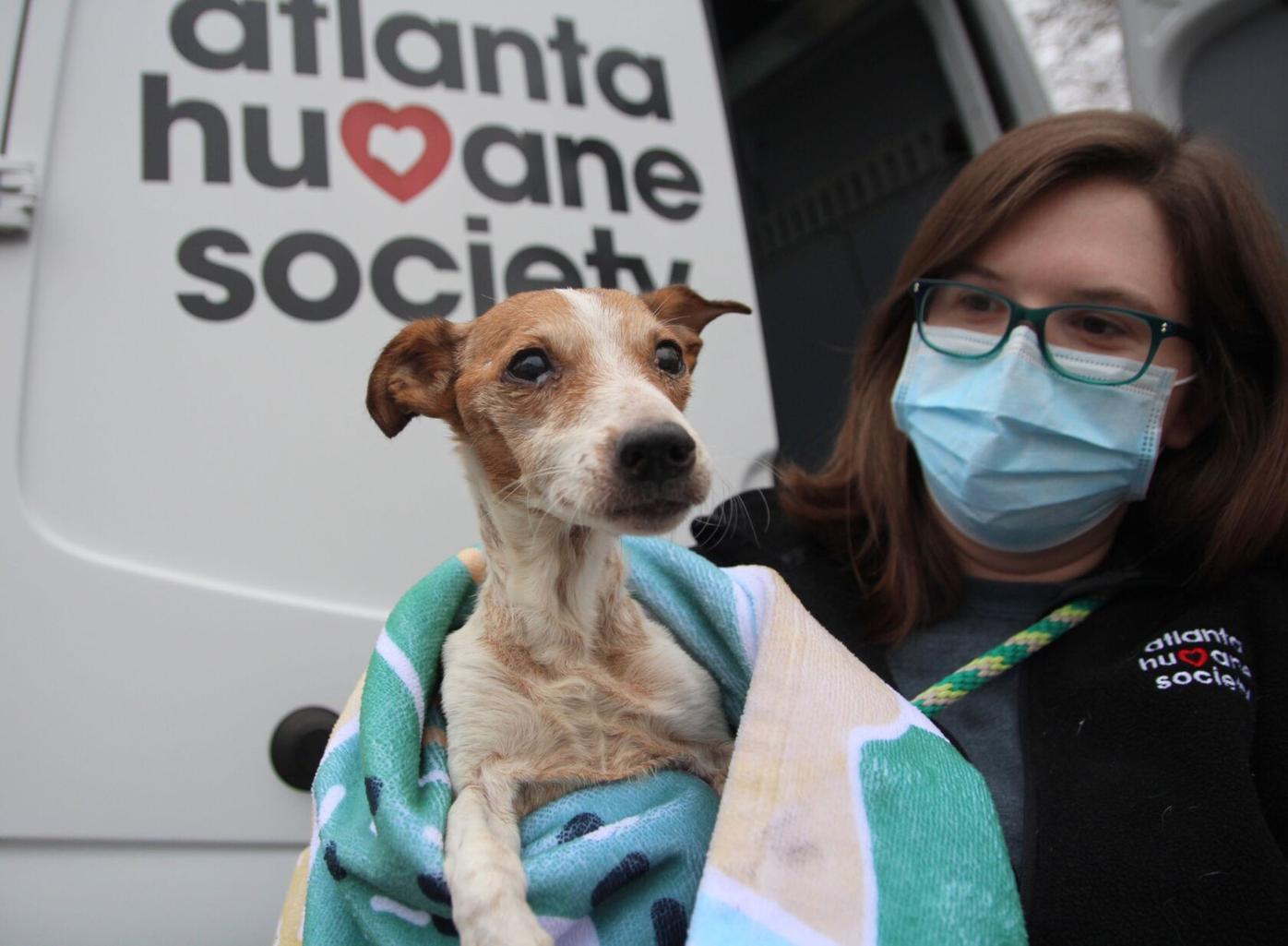 Atlanta Humane Society Takes In 17 Adoptable Dogs After Their Owner Dies Neighbornewsonline Com Suburban Atlanta S Local News Source Mdjonline Com