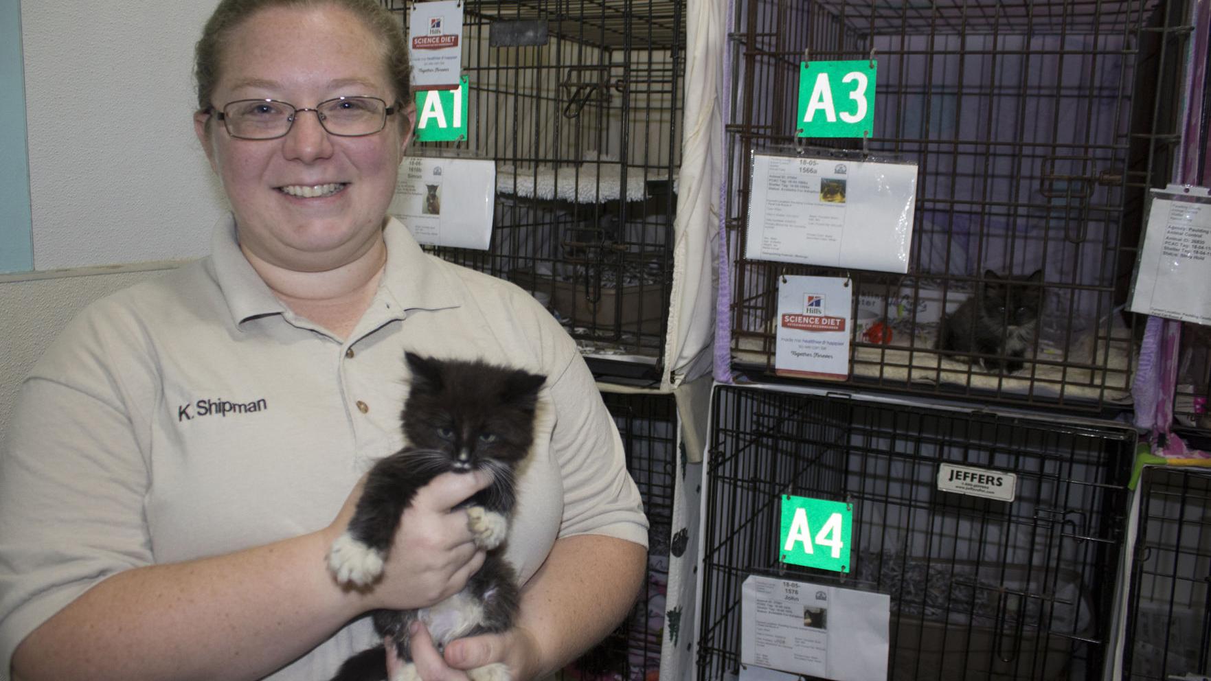 Pilot Program Seeks To More Humanely Control Paulding S Stray Cat Population News Mdjonline Com