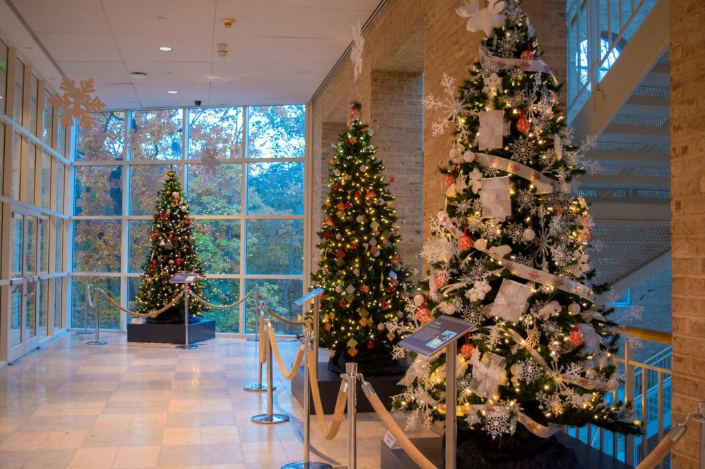 Elvis Leading Hiram Tree Lighting And Dallas Hosting Parade To Bring In Paulding S Christmas Season Community Mdjonline Com