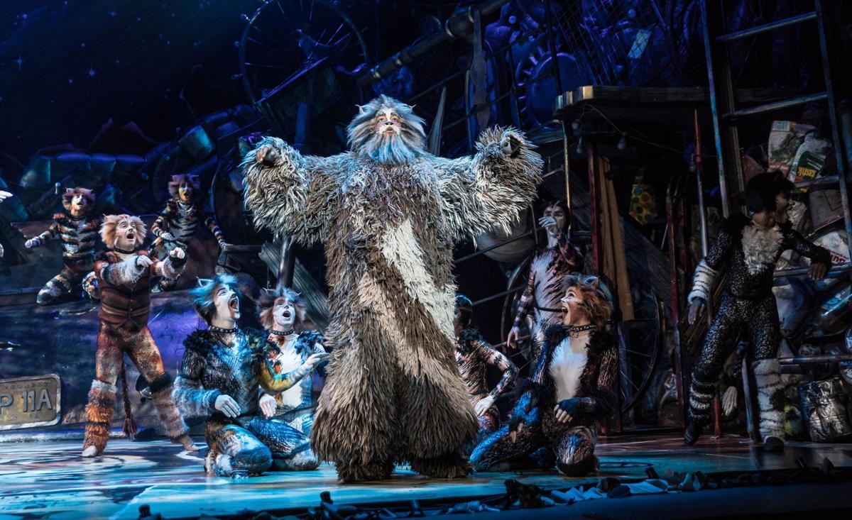 Cats Is Purring Onto The Fox Theatre Stage Community