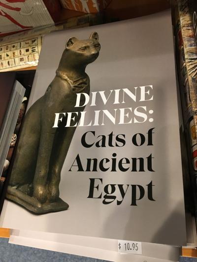 Divine Felines official guide