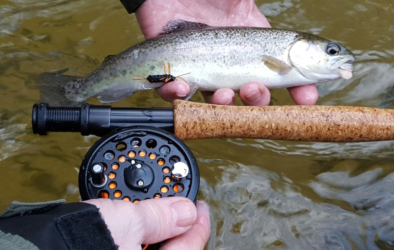 Lures For Immediate Success on Delayed Harvest Trout Streams