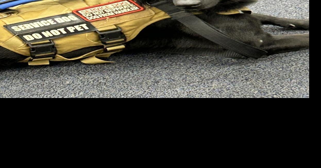 Dog shot by Cobb Sheriff’s Deputy was a service animal, nonprofit confirms