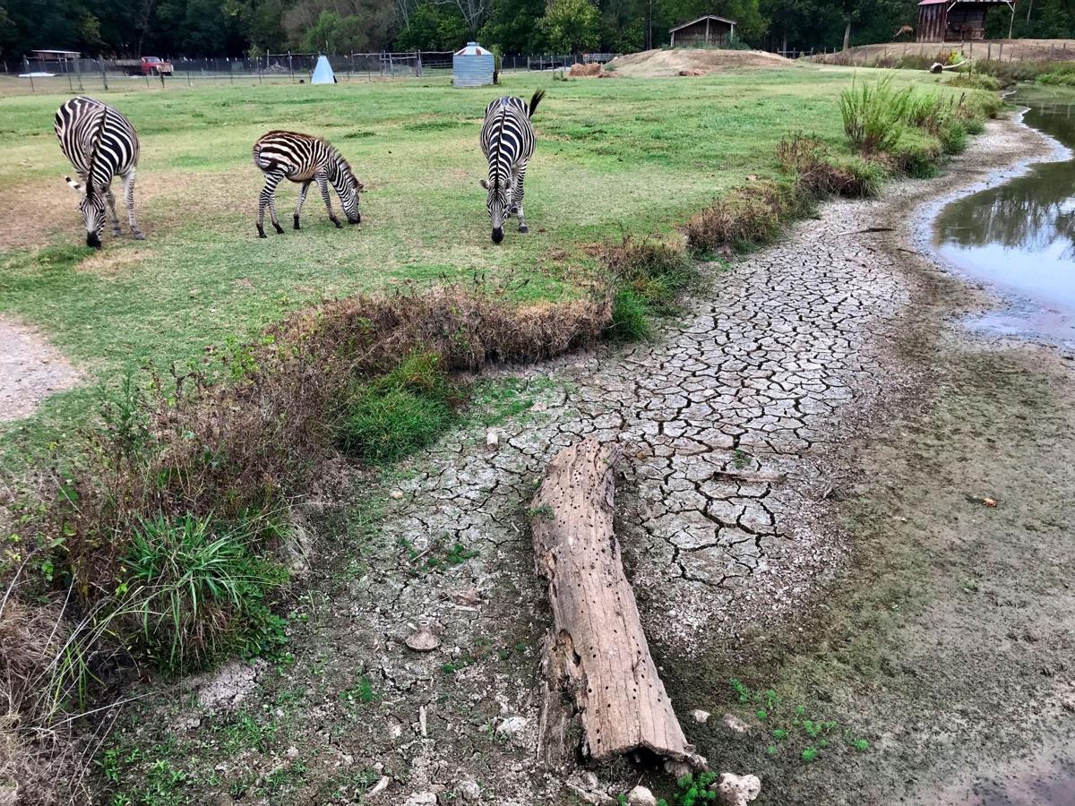Most Georgia counties, including Cobb, in 'severe drought ...