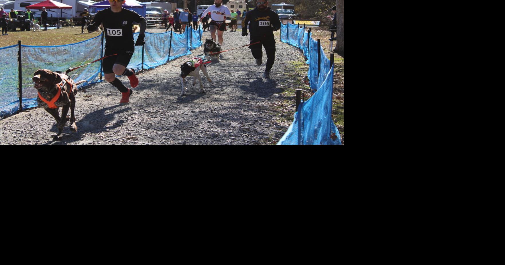 Dog Mushing Races Come to Acworth Trails | Local News | mdjonline.com
