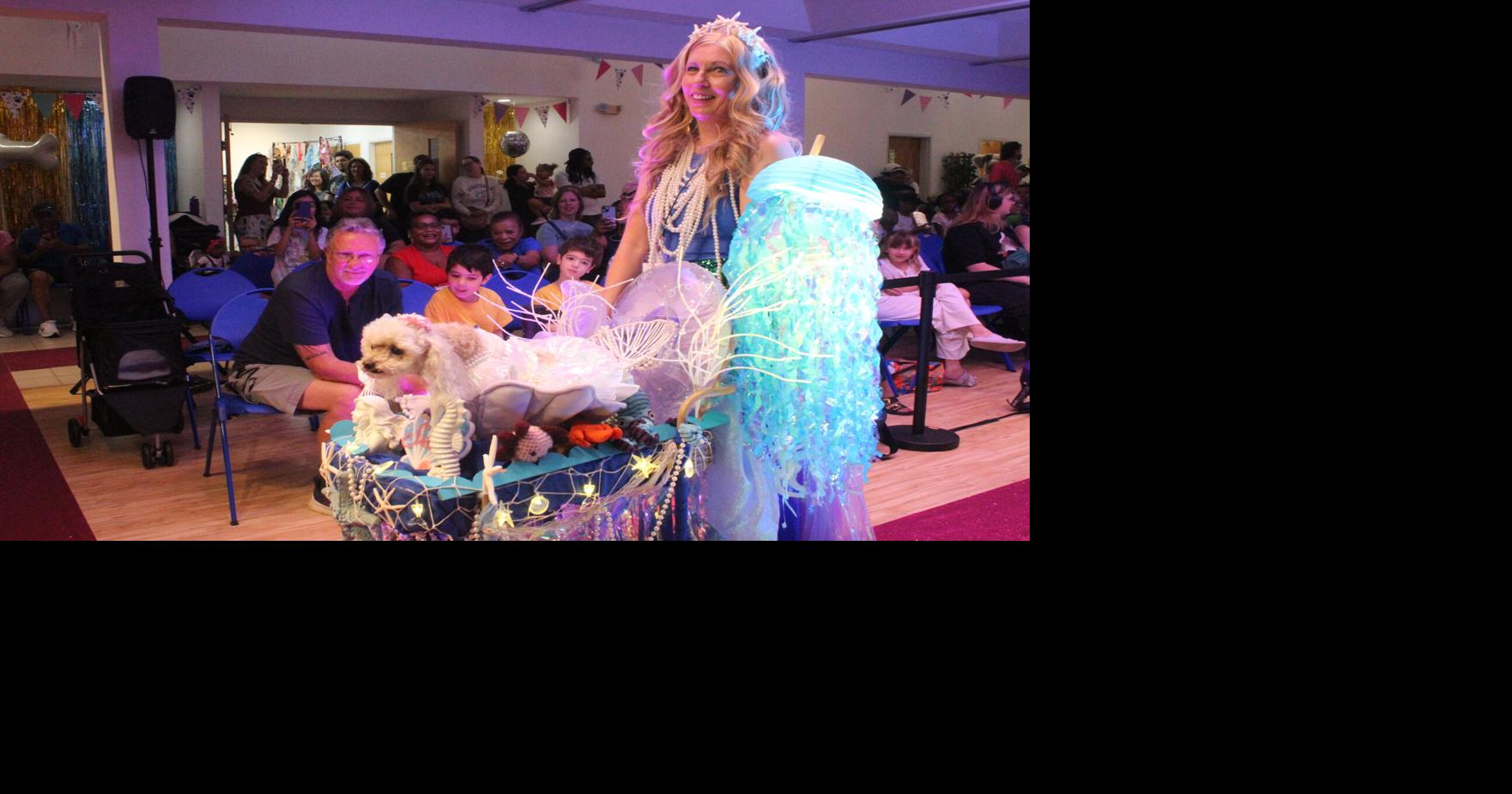 Pet fashion show 2