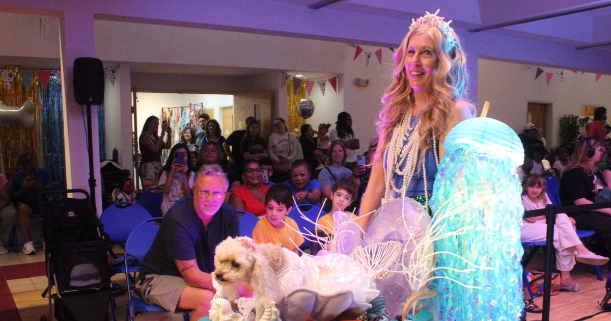 Pet fashion show 2