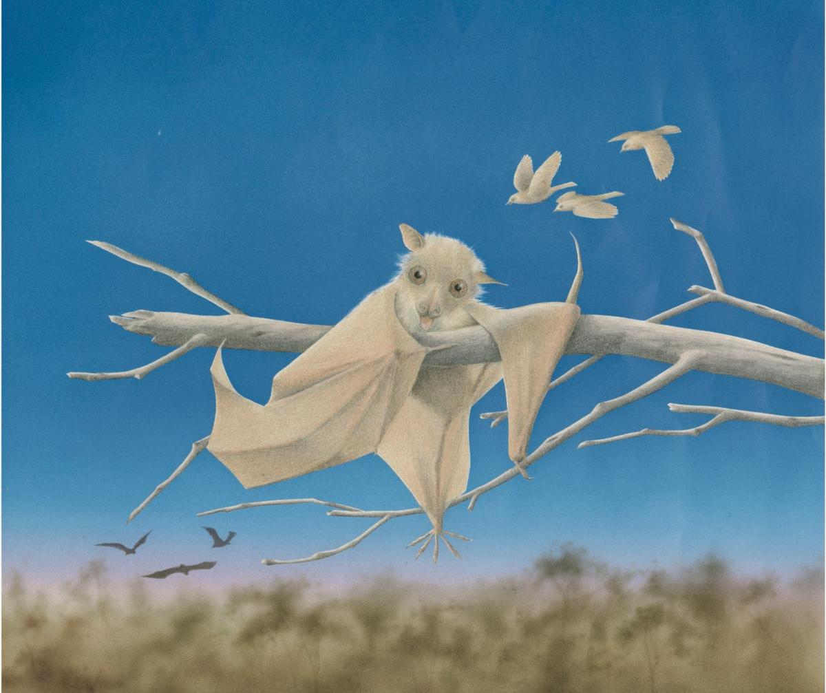 The Center for Puppetry Arts is adapting Stellaluna into a play The Center for Puppetry Arts is adapting Stellaluna into a play