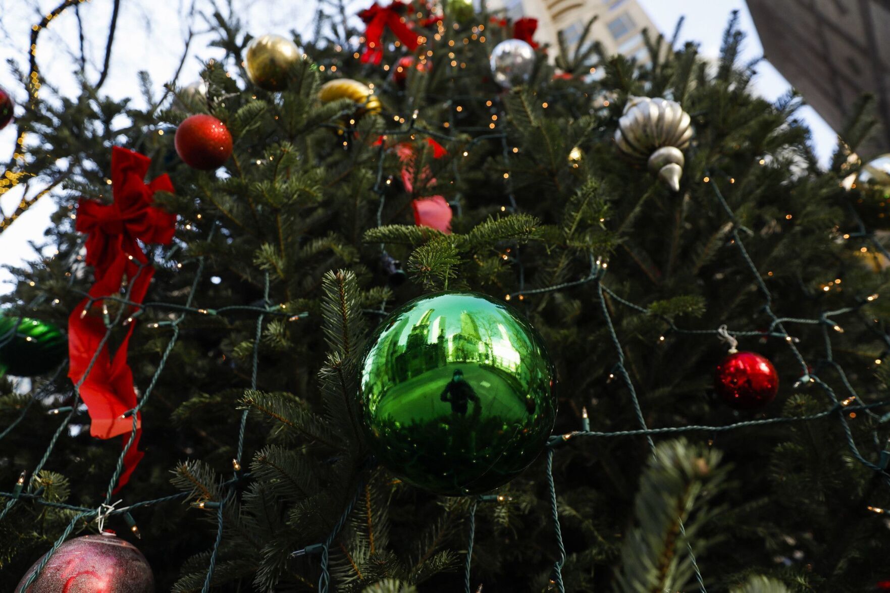 Want to know where and when you can recycle your Christmas tree? Here's how | NeighborNewsOnline.com | Suburban Atlanta's Local News Source - Vimarsana News