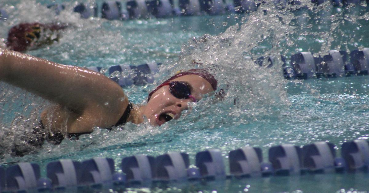 Nicholas Ruzza Fifteen local swimmers earn NISCA All-American honors | Sports ...