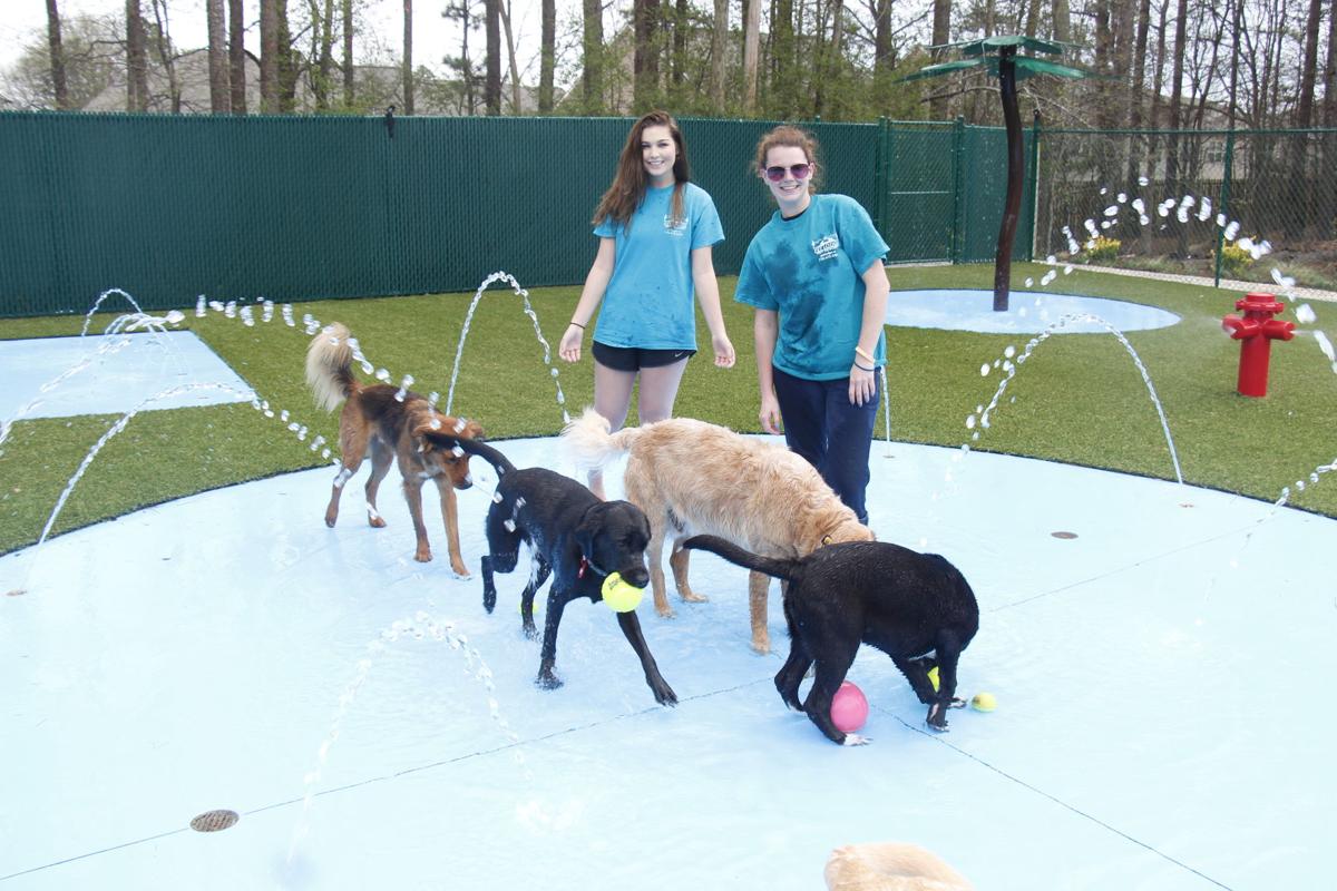 Pet Lodge Pet Resort in Alpharetta opens new splash pad park creating a