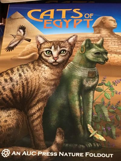 Cats of Egypt