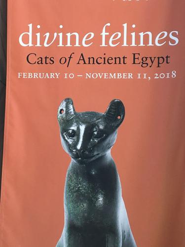 Divine Felines 01