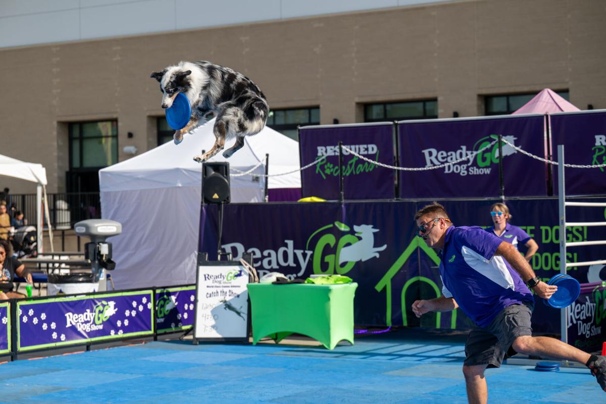 Highflying fun at the 92nd annual North State Fair Local News