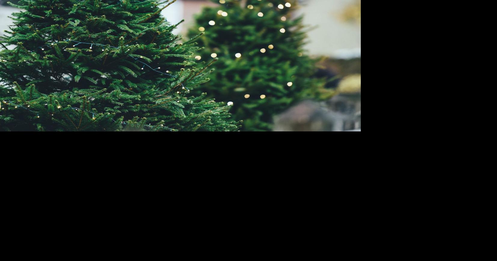 Fulton County Christmas Tree Recycling 2022 These North Fulton Locations Will Recycle Your Christmas Tree | North Fulton  Neighbor | Mdjonline.com