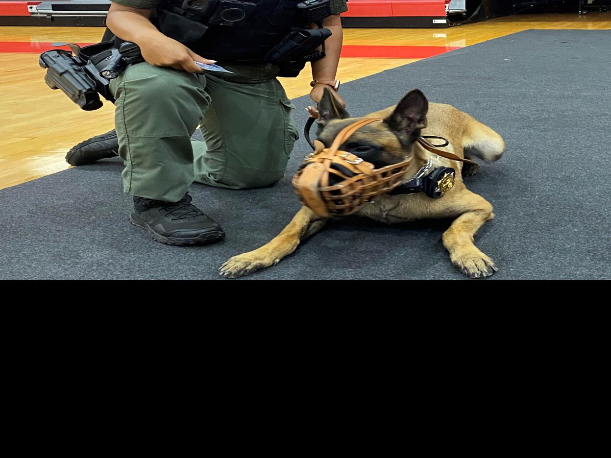 Fulton County Sheriff's office swears in newest four legged officers |  Northside / Sandy Springs Neighbor | mdjonline.com