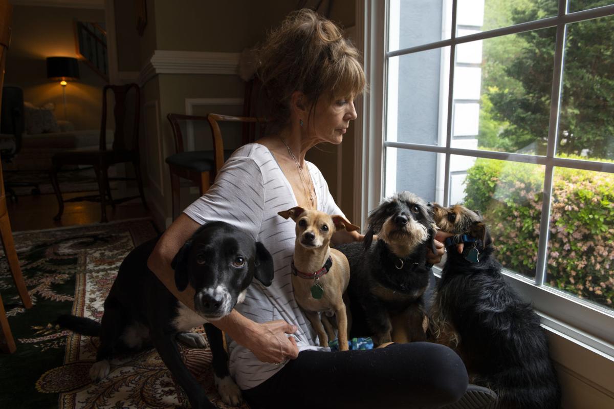 Fostering Saves Lives Of Pets During The Pandemic Crisis News Mdjonline Com