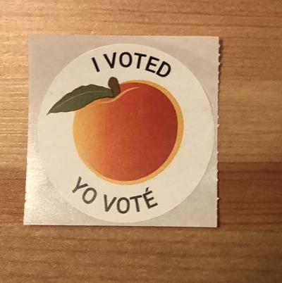 Paulding Tops 21 000 Casting Ballots As Early Voting Enters Final Week News Mdjonline Com