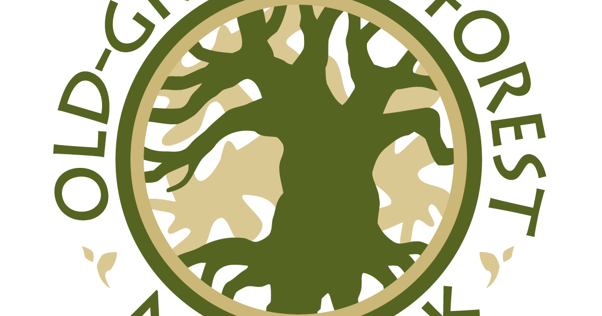 Trails of Kennesaw Mountain National Battlefield Park to be Inducted into The Old-Growth Forest Network - Vimarsana News