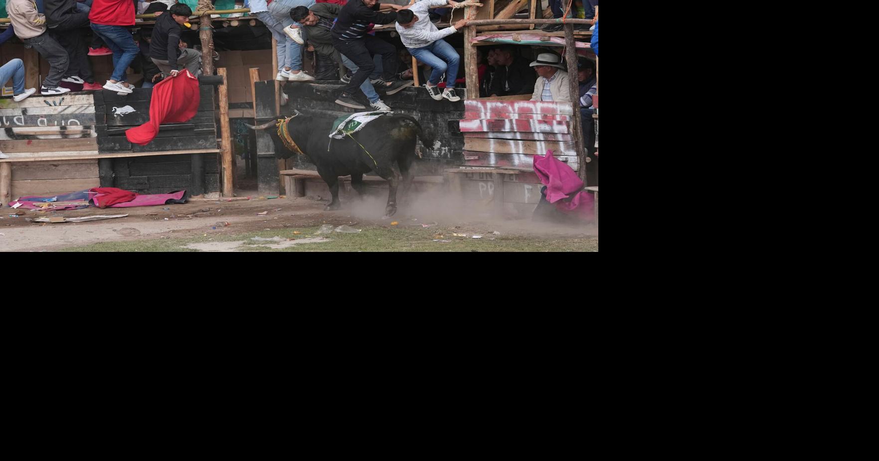 Ecuador Bullfighting