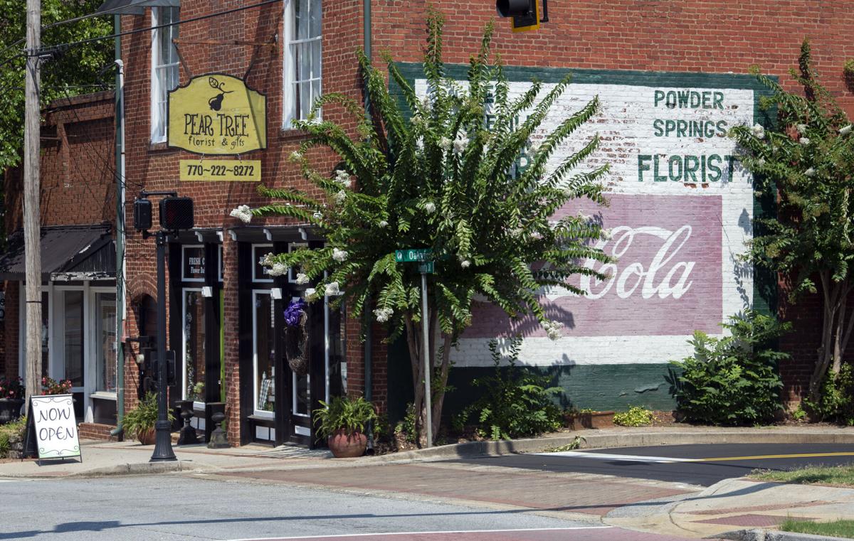 Powder Springs Factbook