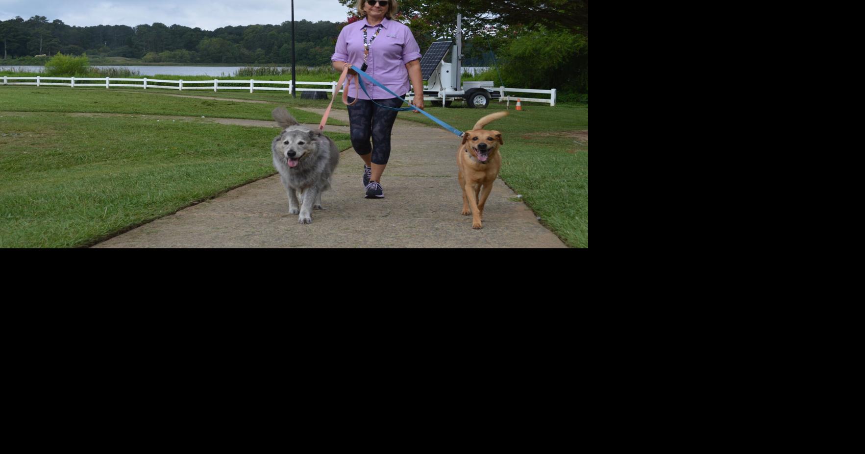 Netflix planning to shoot movie at Acworth park Local News