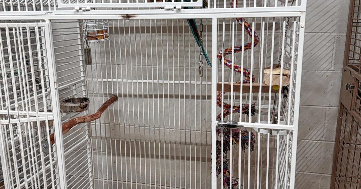 New parrot and cages at The Georgia Aviary | Lifestyle | mdjonline.com