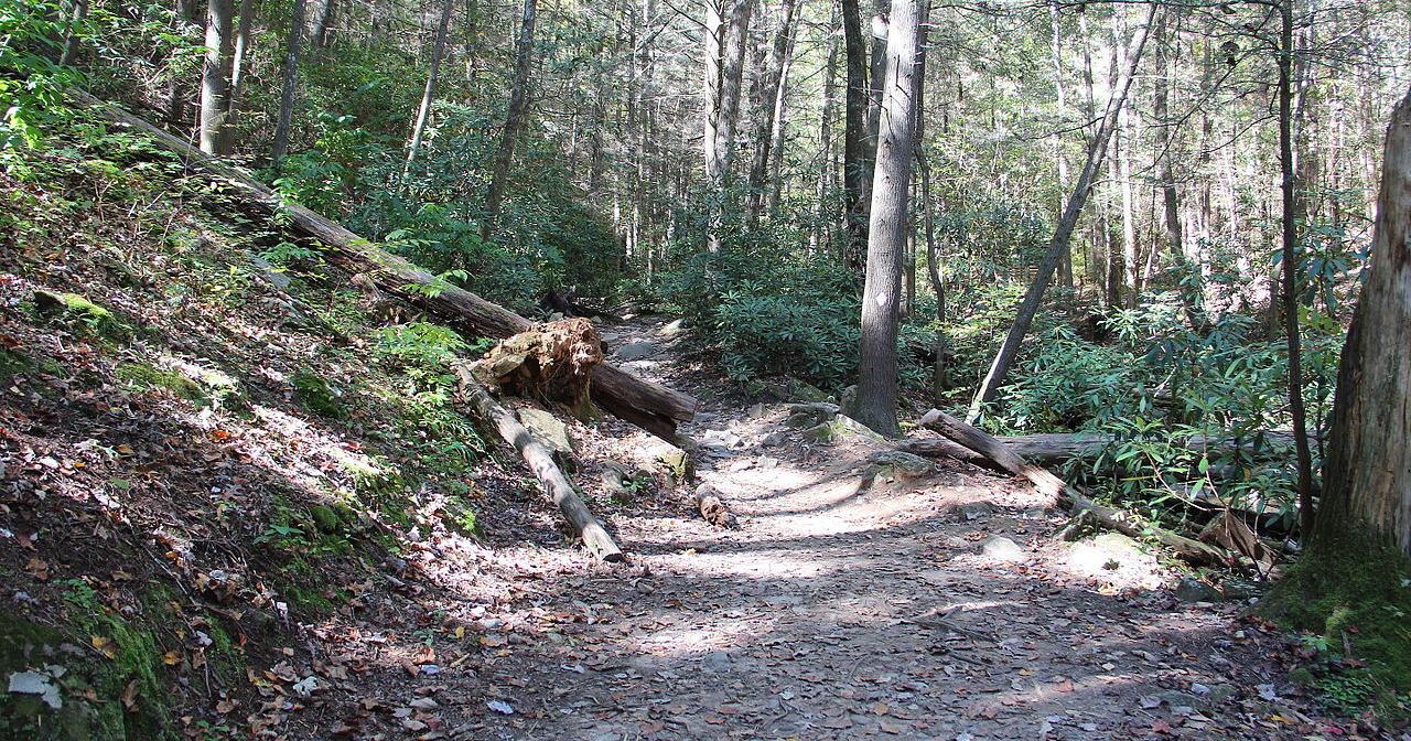 Georgia lawmakers backing new National Scenic Trail - Vimarsana News