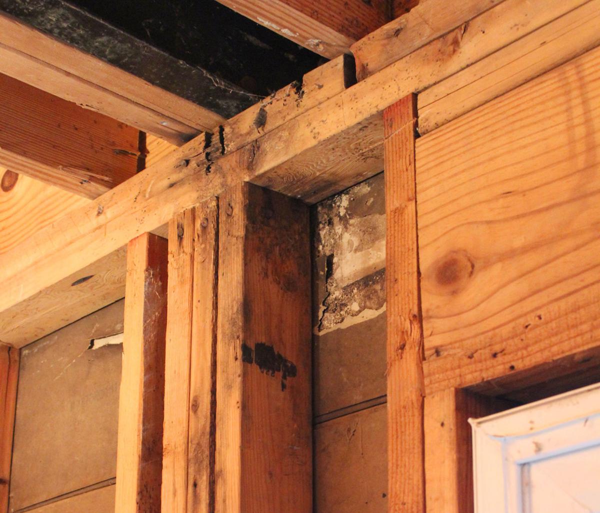 Mold Long Dispute With Condo Board Keeping Man Out Of Sandy