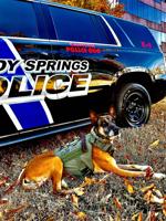 Sandy Springs Police Department remembers beloved K-9 Igor