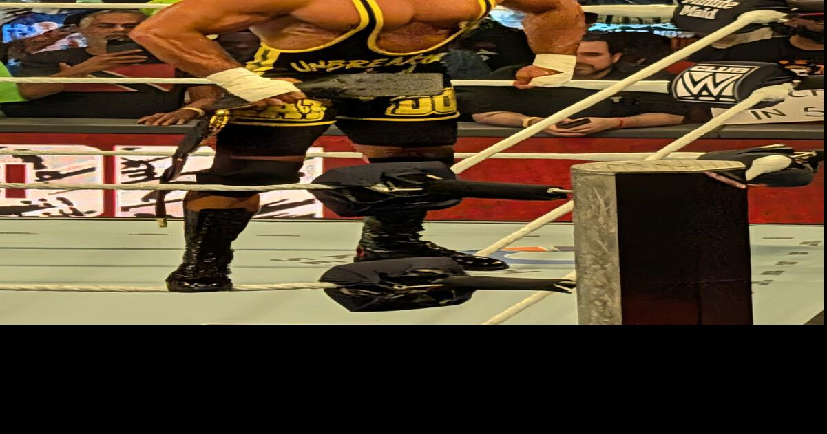 Cobb County products hit the ring for WWE