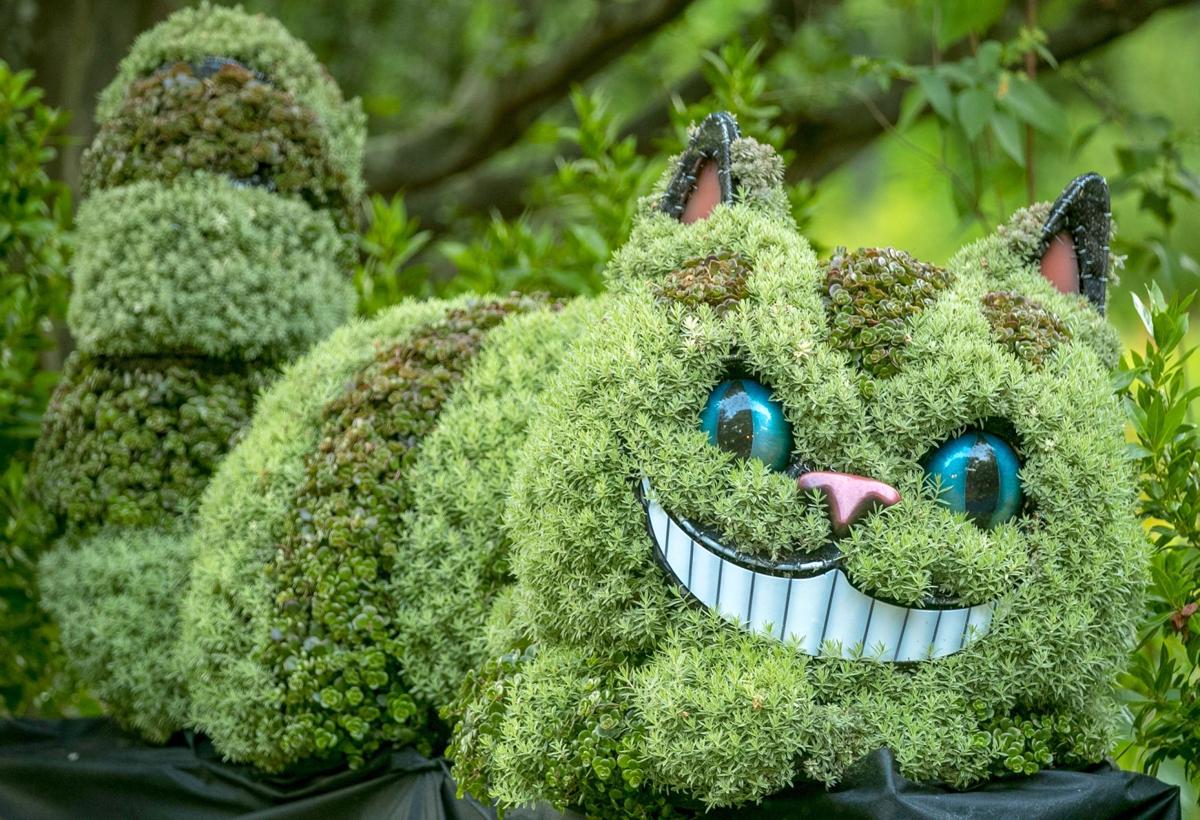 Atlanta Botanical Garden Springs Alice S Wonderland To Life