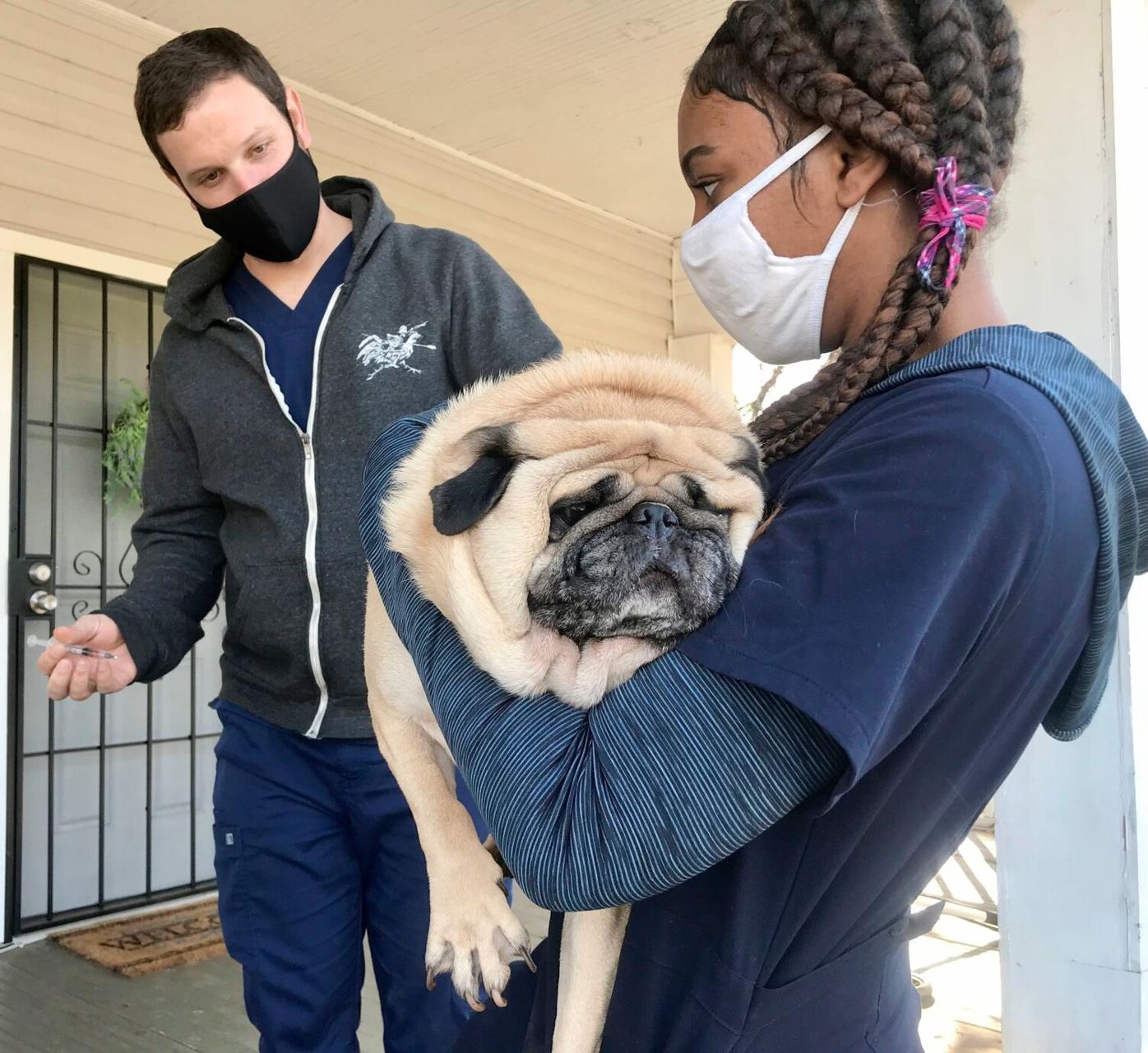 LifeLine Animal Project's Pets for Life brings vet services to pet