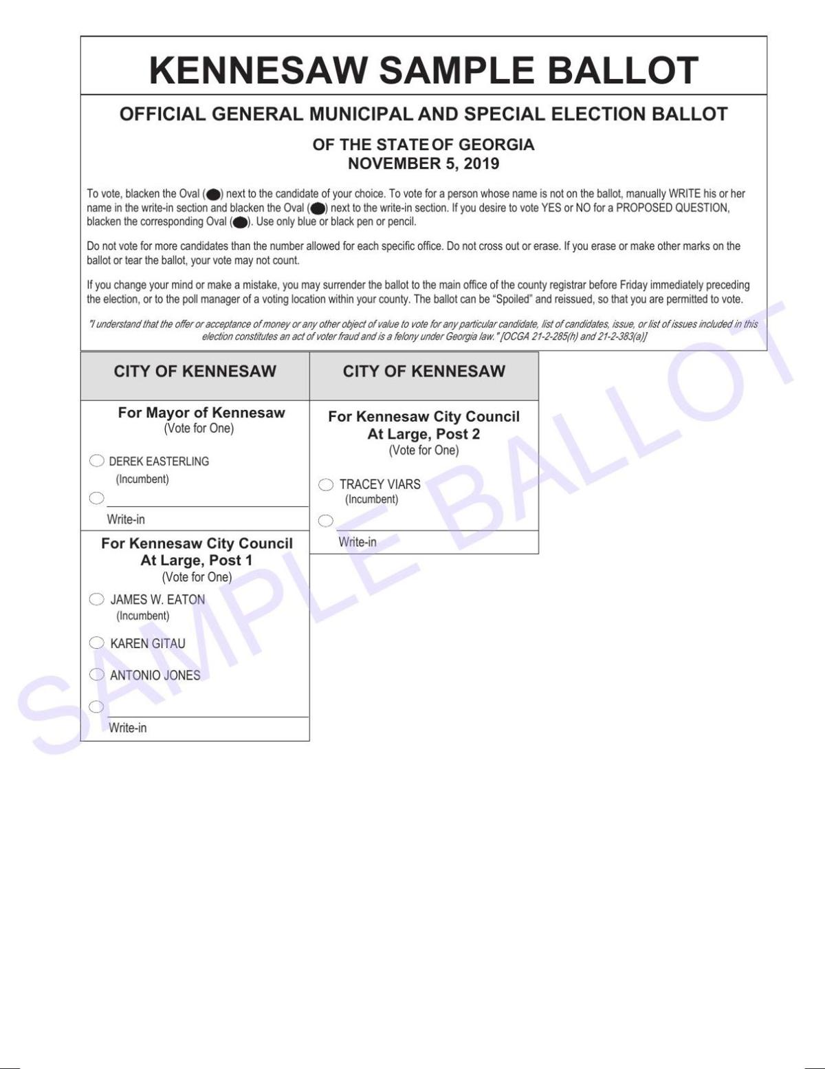 Kennesaw Sample Ballot Pdf Mdjonline Com