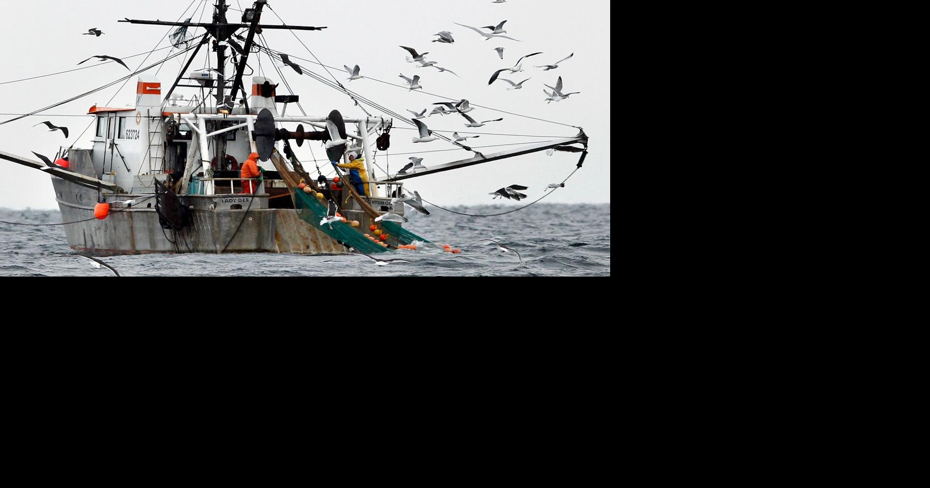 Gulf of Maine Ecosystem