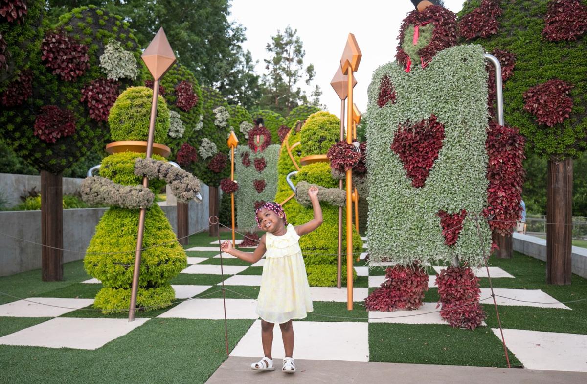 Atlanta Botanical Garden Springs Alice S Wonderland To