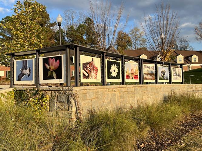 Traveling gallery brings art to downtown Powder Springs Local News
