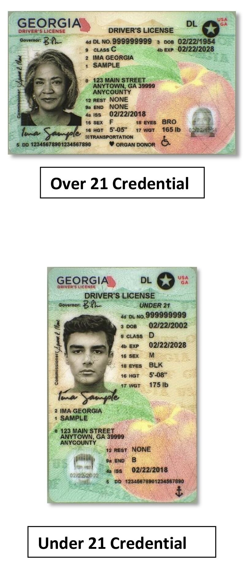 Driver License Georgia template free