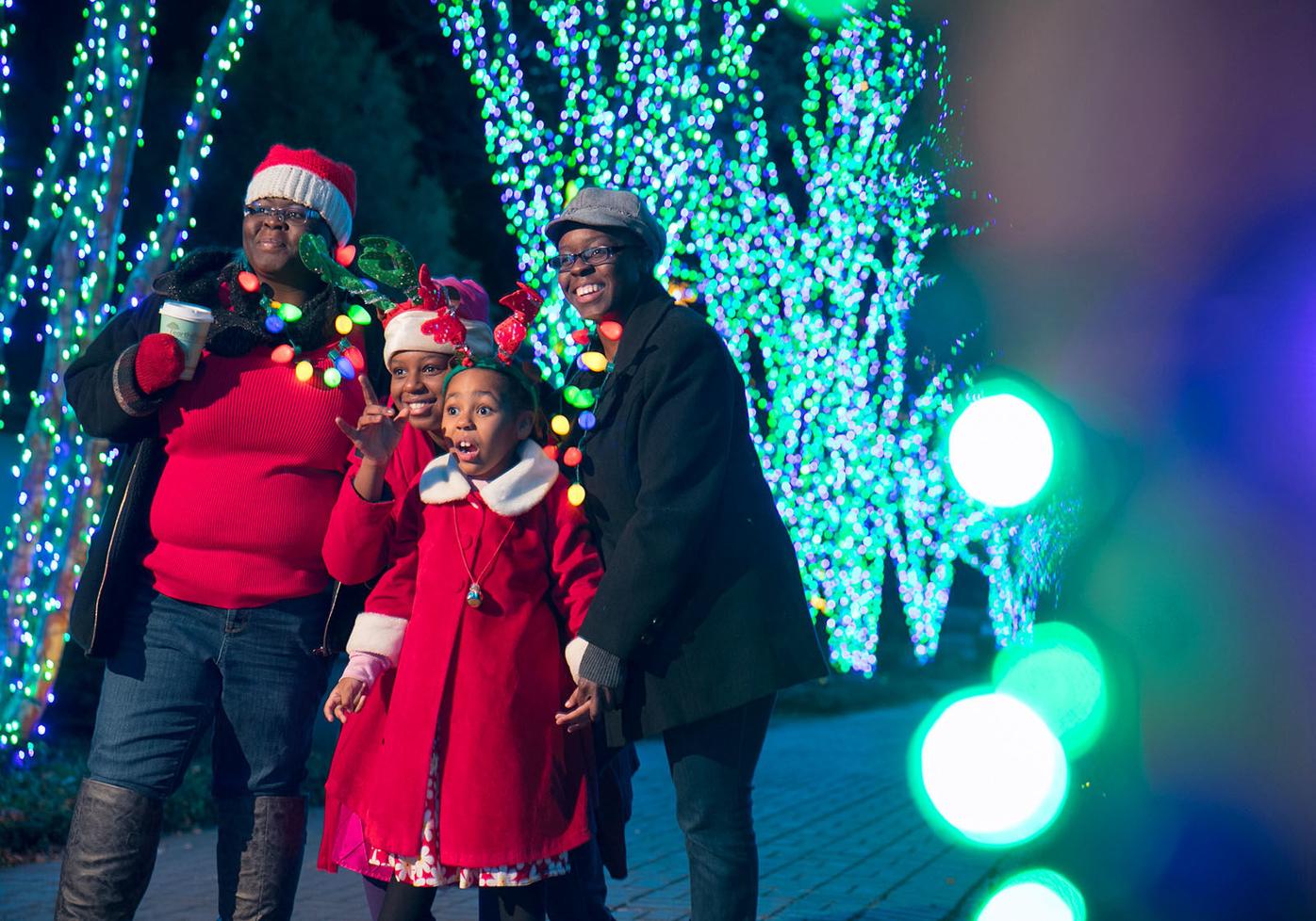 Expanded Light Show Highlights Atlanta Botanical Garden S Holiday Offering Community Mdjonline Com
