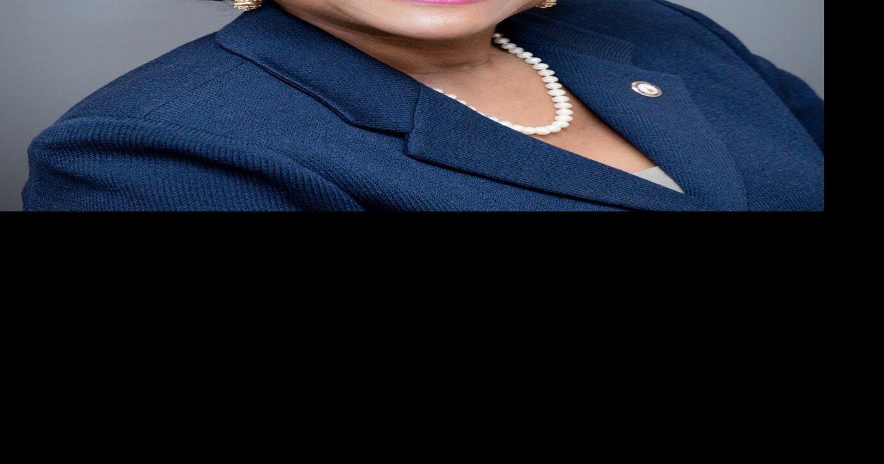 Former state representative pleads guilty to unemployment fraud | News ...