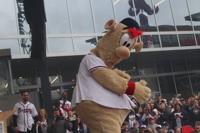 Kaitlyn Ross 11Alive - MASCOT MADNESS! Some Atlanta Braves fans are furious  over the new mascot, BLOOPER! One told me it looked like the “inbred  cousin” of the Philadelphia Phillies mascot 😮