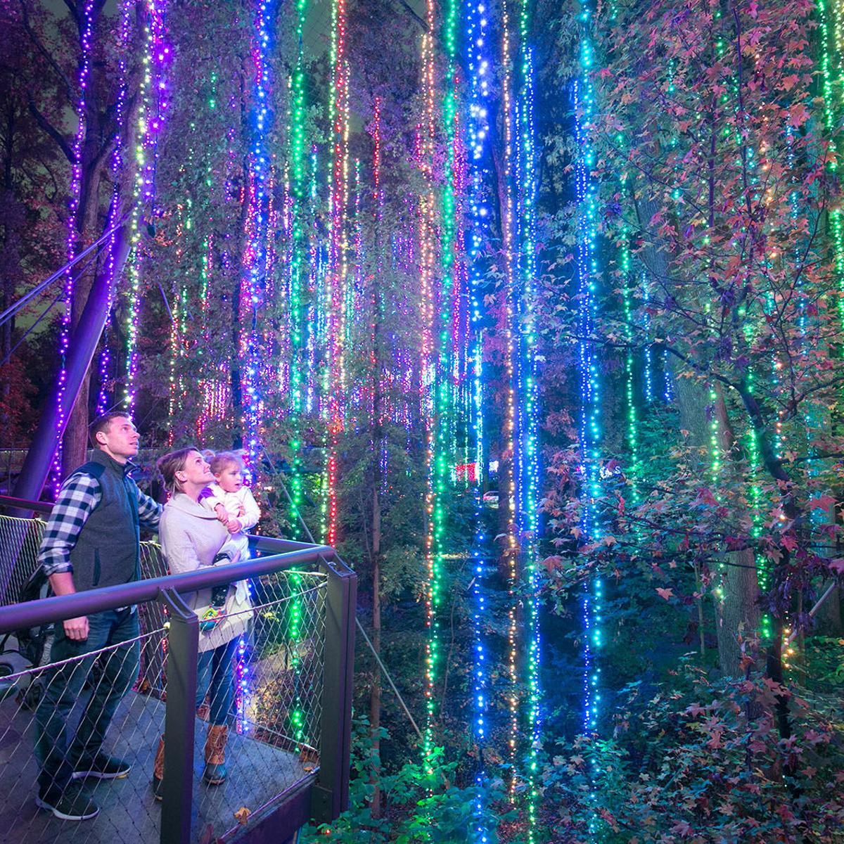 Expanded Light Show Highlights Atlanta Botanical Garden S Holiday