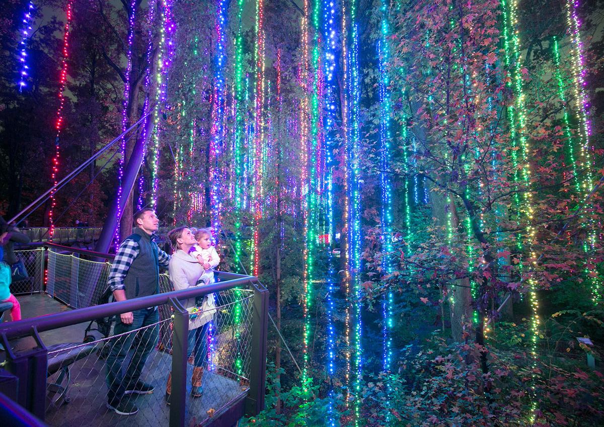 Expanded Light Show Highlights Atlanta Botanical Garden S Holiday