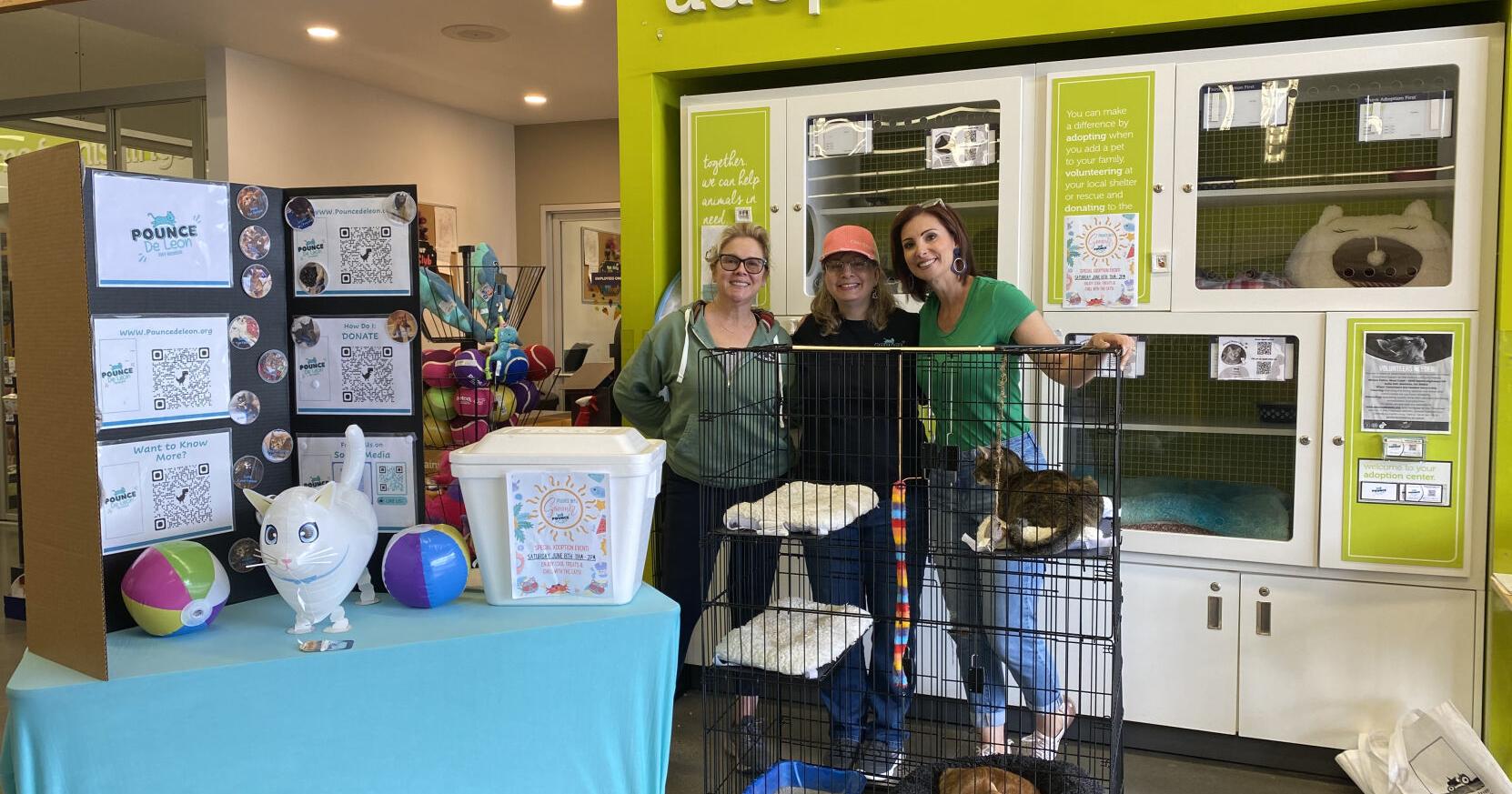 Pounce de Leon Helps Cats Find Forever Homes - Vimarsana News