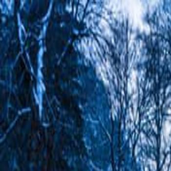 County And Cartersville Schools And Health Department Among Bartow Closings News Mdjonline Com