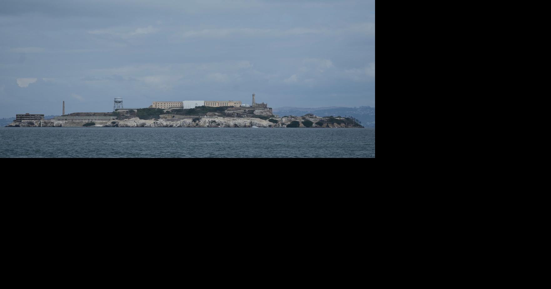 Male coyote swam 2 miles to Alcatraz Island, twice as far as biologists had expected